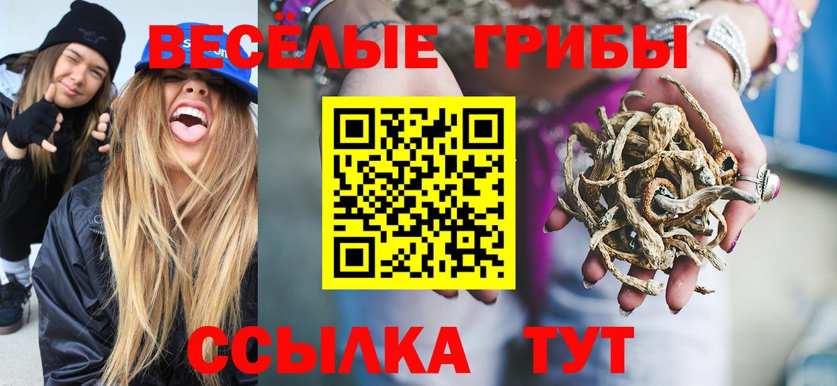 Псилоцибиновые грибы Psilocybine cubensis  Вход с VPN  Сухой Лог  Псилоцибиновые грибы Psilocybe 